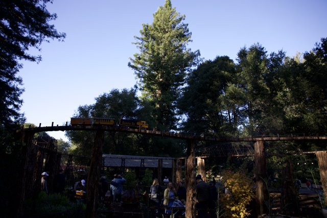 Enchantment in the Gardens of Thistlewyck