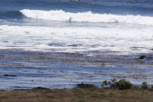 Coastal Serenity in Cayucos