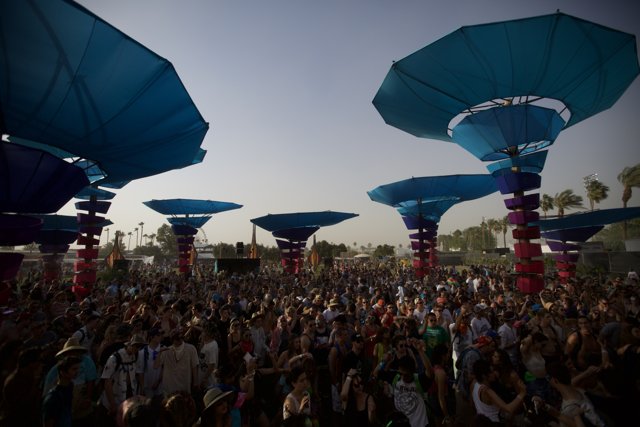 Rain or Shine: The Music Festival Crowd Endures