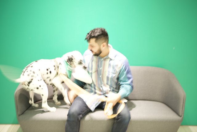 Man and Dalmatian Dog on the Couch