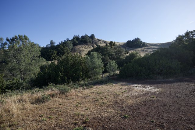 Sunlit Hills and Chaparral at Mount Diablo