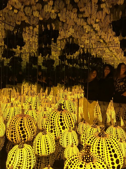 The Yellow and Black Sphere Room