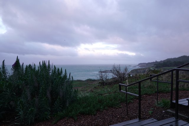 Ocean View from Jenner Hillside