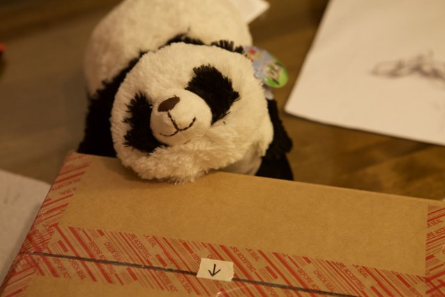 Panda Bear Box Buddy
