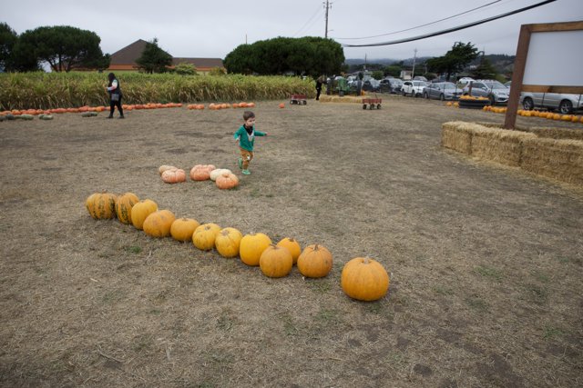 Autumn Adventures at the Pumpkin Patch