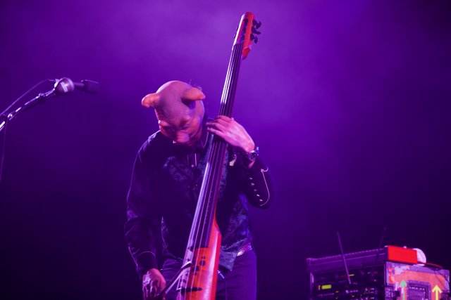Bass Playing Behind the Mask