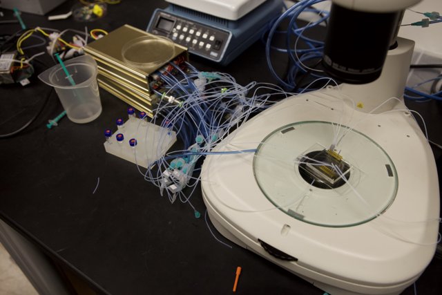 Microscope with Electronics and Wires