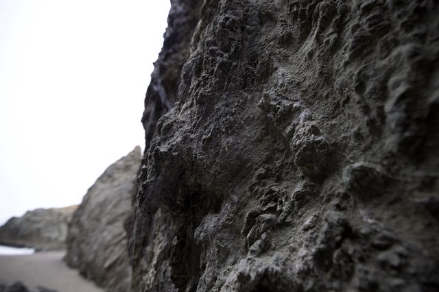 Ancient Coastal Cliffs Draped in Spider's Silk