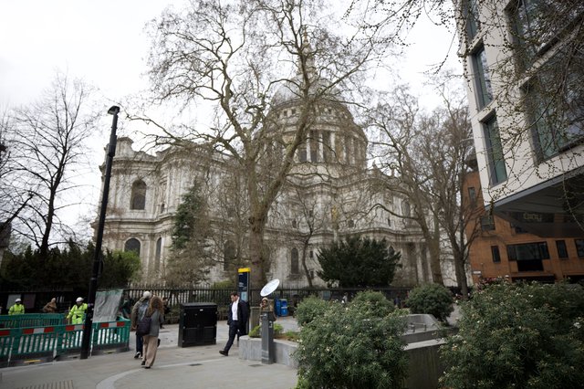 St Paul's Cathedral Through Bare Winter Trees