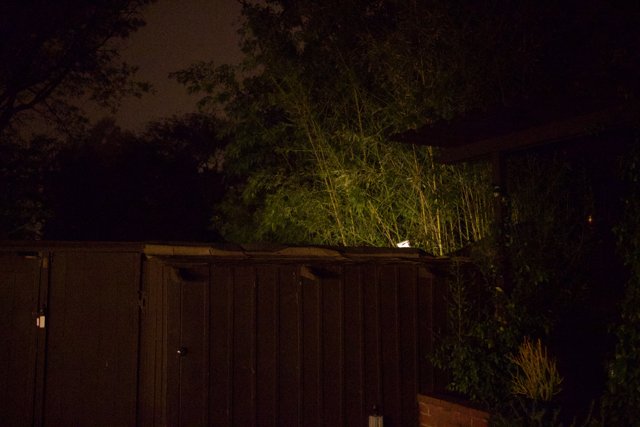 Illuminating the Night Fence