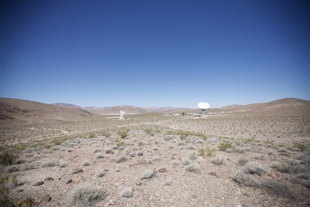 Telescope Oasis in the Golden Desert