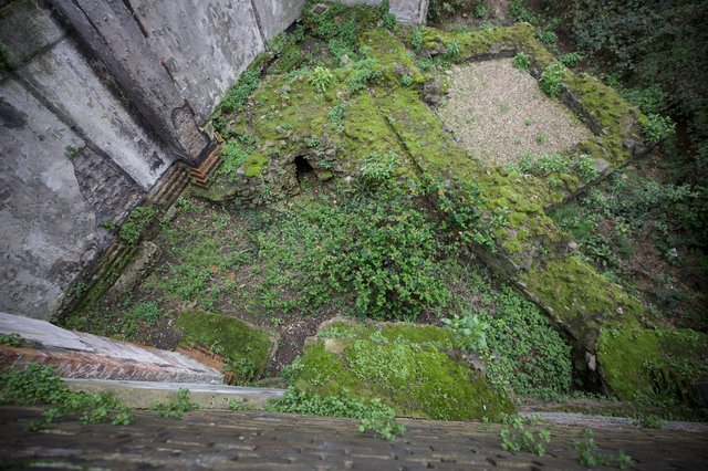 Overgrown Courtyard of Abandoned Historical Building