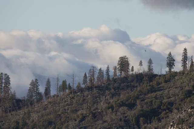 Dramatic Wildfire Smoke Over Forested Mountain Ridge