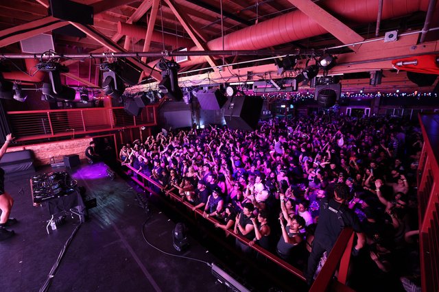 Massive Crowd Surges at Wobbleland Festival 2026