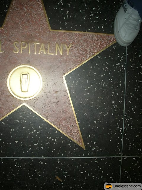 In Memoriam: Jim Spitalny's Star on the Hollywood Walk of Fame