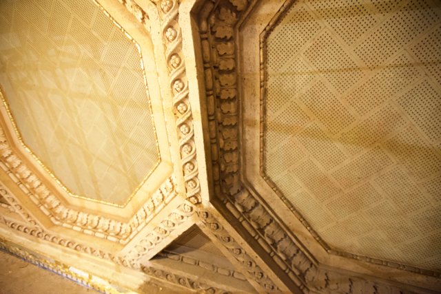 The Grandeur of the Opera House Ceiling