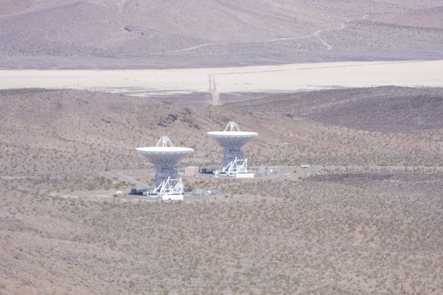 White Antennas in the Desert