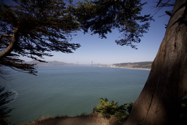 Golden Gate Bridge and Surrounding Nature