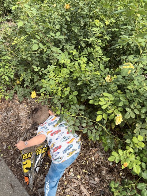 Hidden Treasures in the Garden