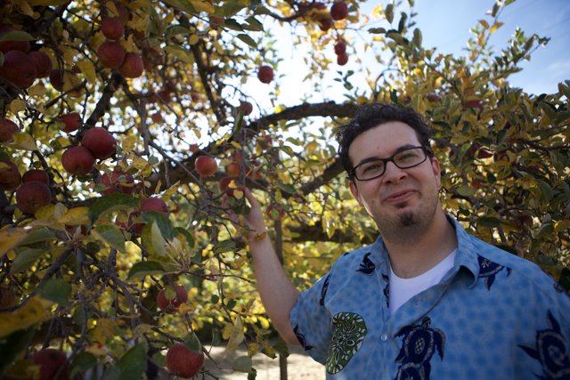 Dave B's Apple Harvest