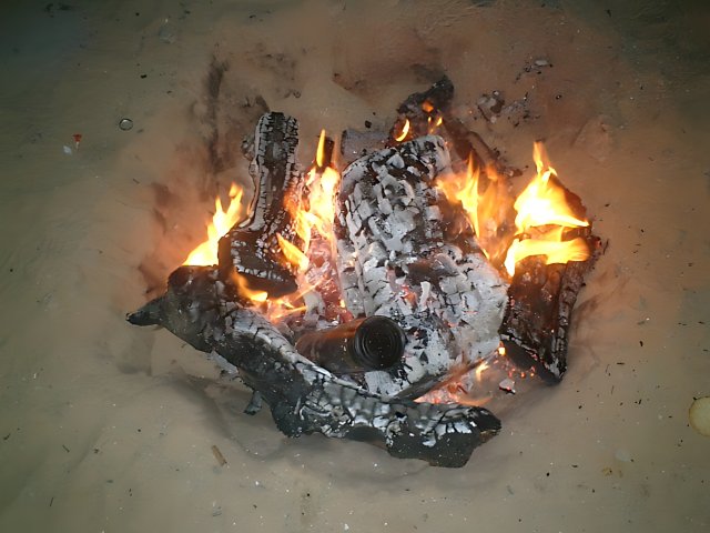 Flaming Bonfire on the Desert Sands