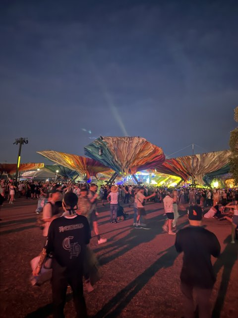 Under the Night Sky at Eldorado
