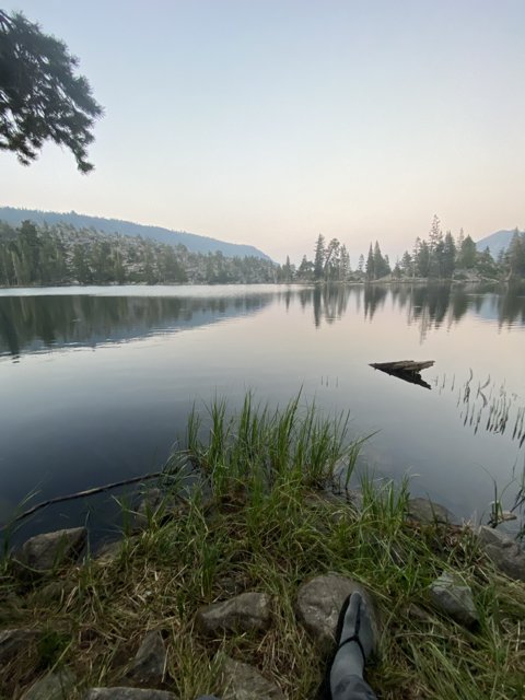 Serene Lakeside View