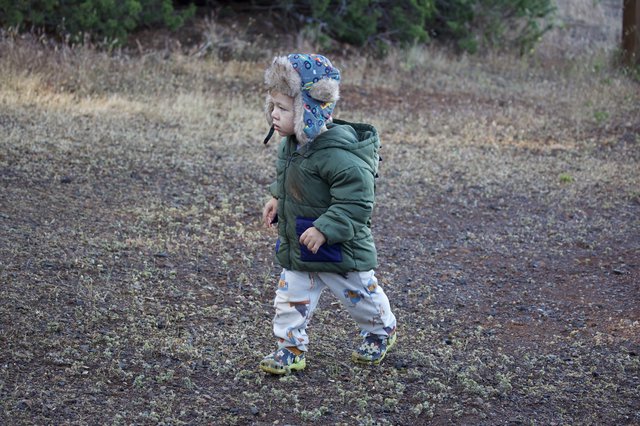 Little Explorer Trekking Through Mt. Diablo Wilderness