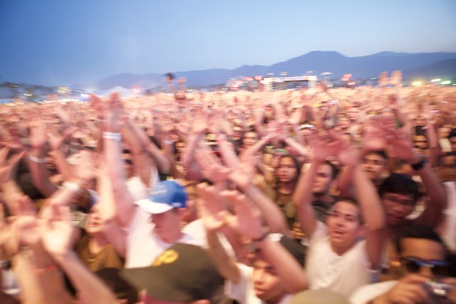 Coachella Concertgoers Celebrating the Music