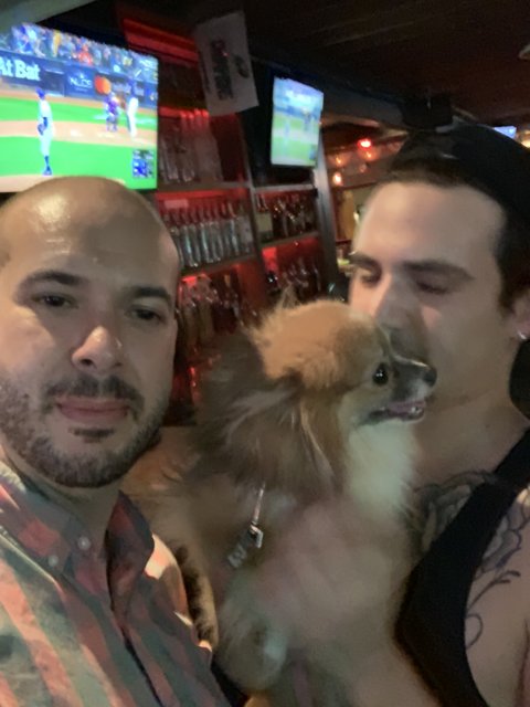Dog Days at the Bar