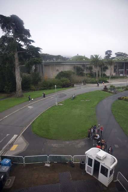 Aerial Perspective - Life's Journey in Golden Gate Park, 2023