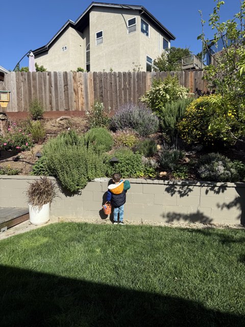 A Young Gardener's Curiosity