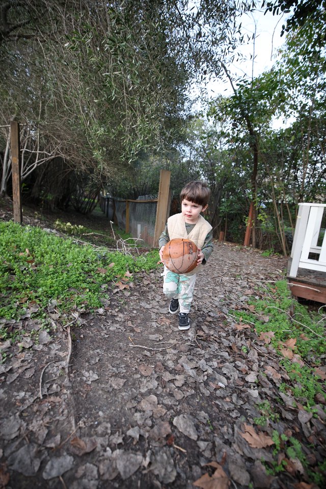 Young Child Carrying Basketball in Backyard Garden