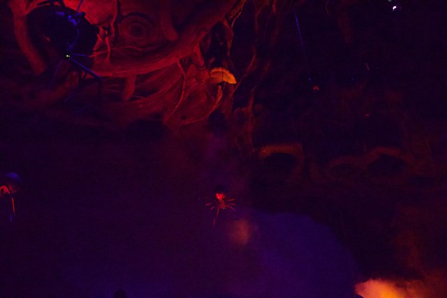 Magical Underwater Encounter at Disneyland Paris