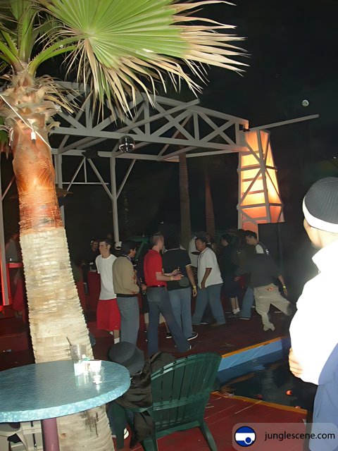 Night Club Gathering by Palm Trees