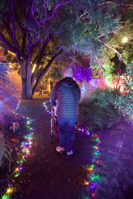Enchanted Evening at the Garden of D'Lights