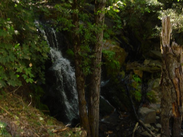 Serene Waterfall in the Woods