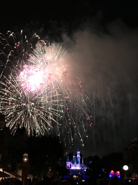Sparkling Night Sky at Disneyland