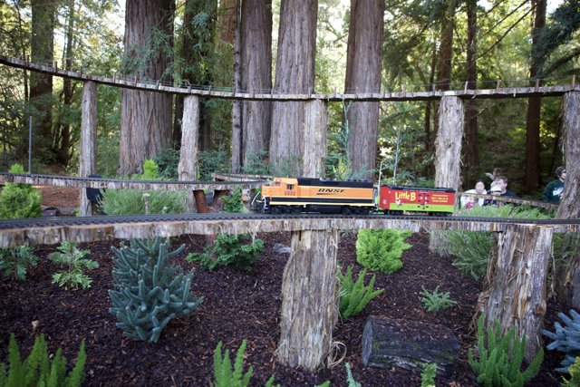 Nature's Railroad Adventure