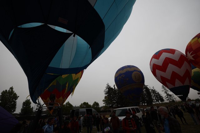 Hot Air Balloons Rising at Sonoma County Classic