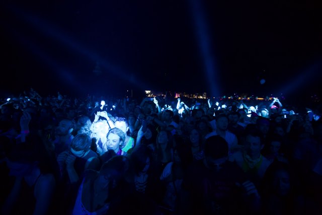 Light Up the Night: A Captivating Concert Crowd