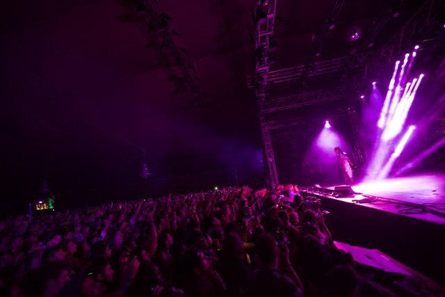 Purple Haze at the Rock Concert