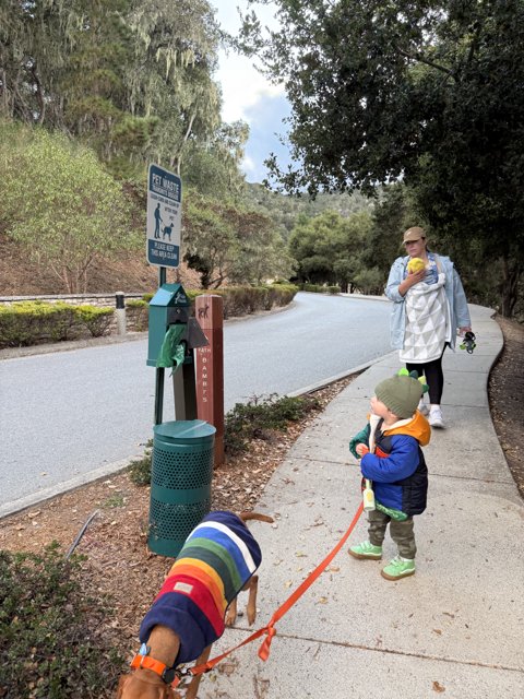 Stroll Through Carmel