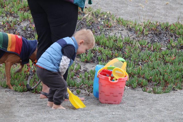 Toddler Explores Beach Sand with Colorful Toys