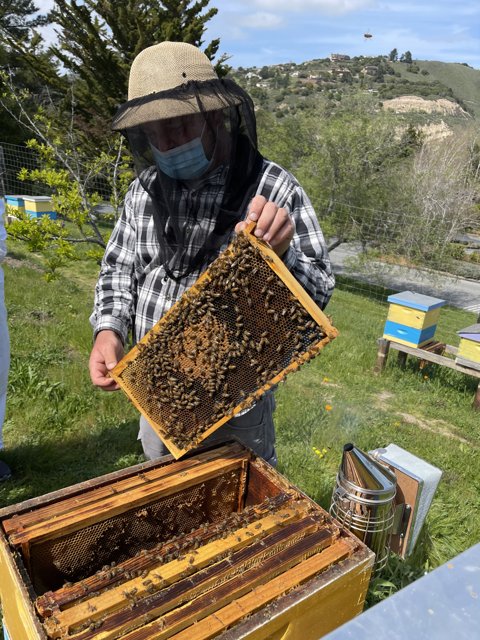 Beekeeper Tending to his Apiary in the Field