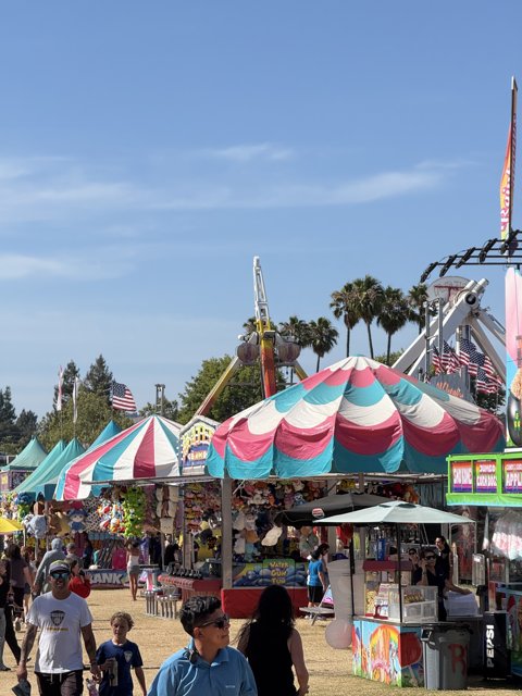 Summer Day at the Santa Rosa Fair