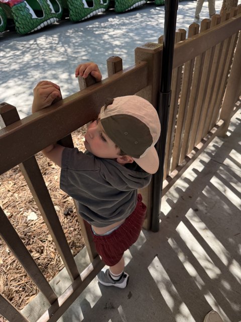 Curious Moments at the Zoo