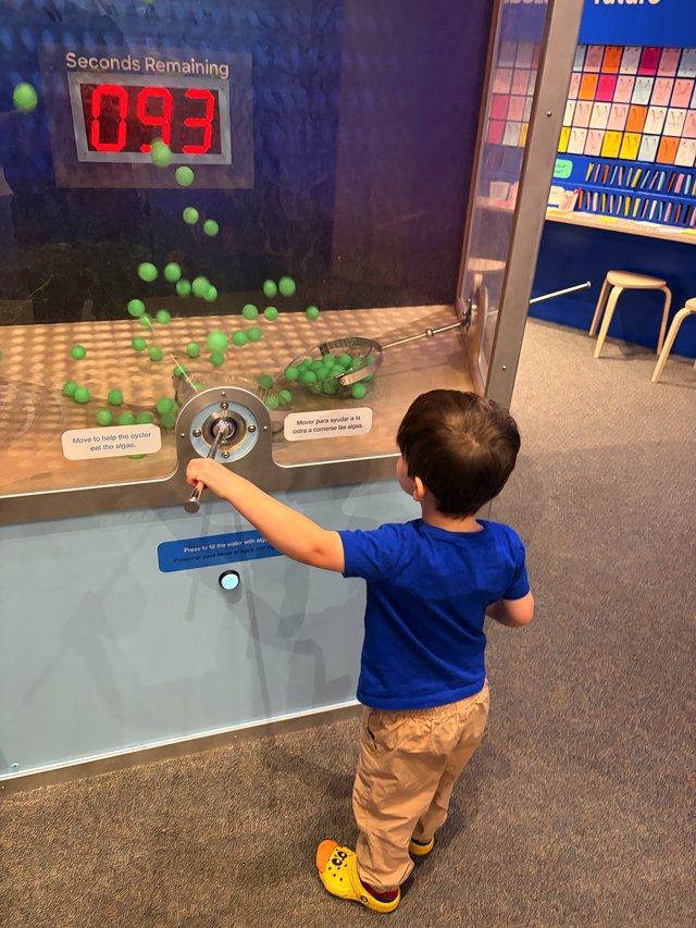 Child Playing Interactive Science Museum Algae Exhibit