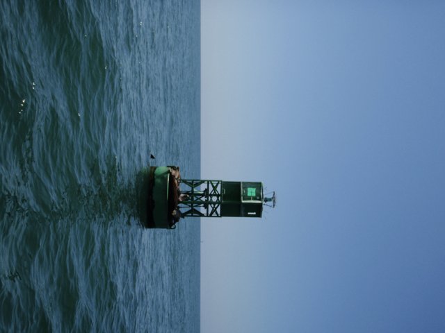 Green Buoy at Sea