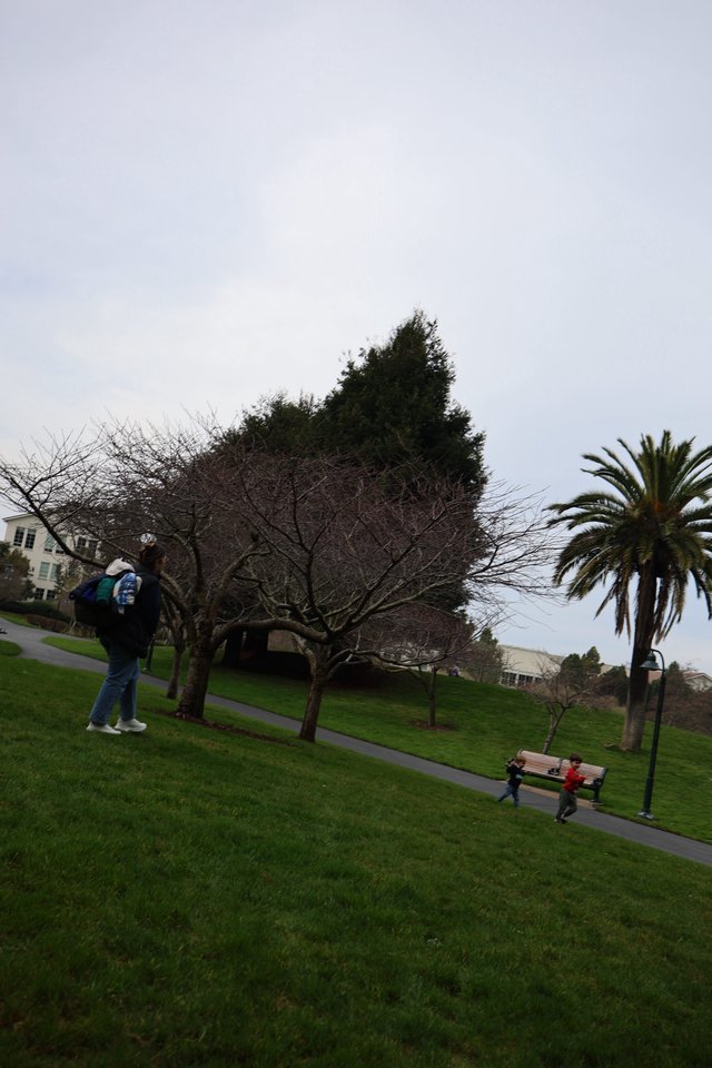 Overcast Day at Skywalker Ranch Park